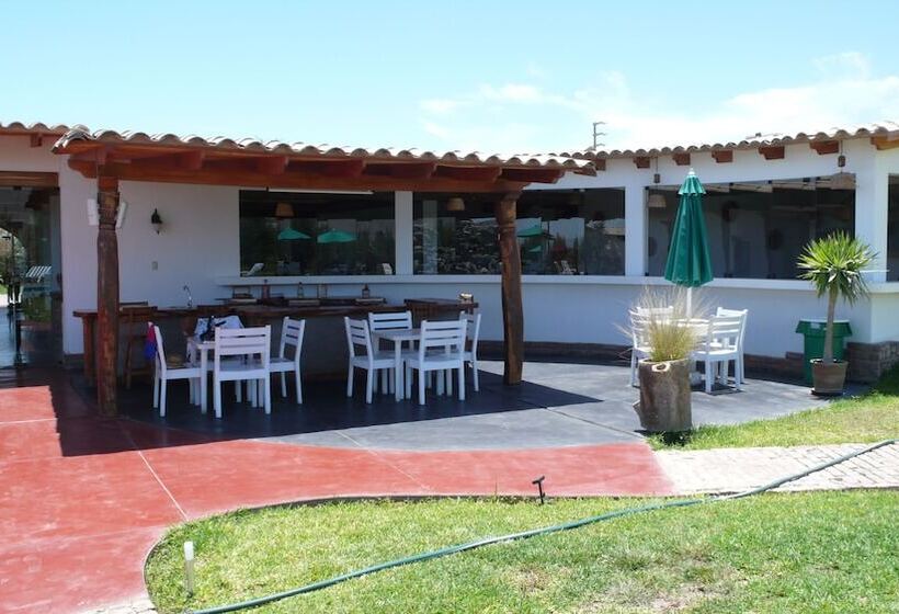 Отель Casa Hacienda Nasca Oasis