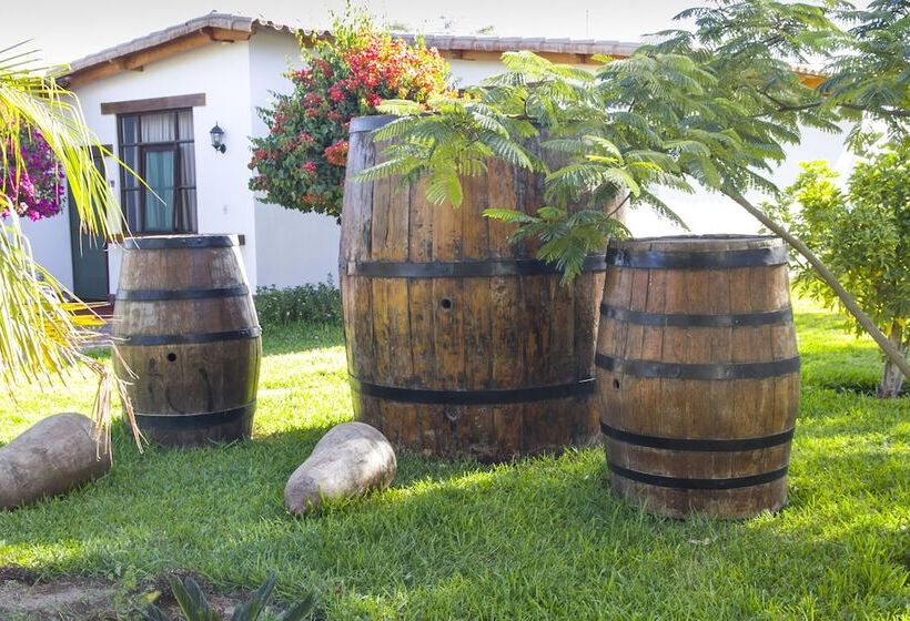 Отель Casa Hacienda Nasca Oasis