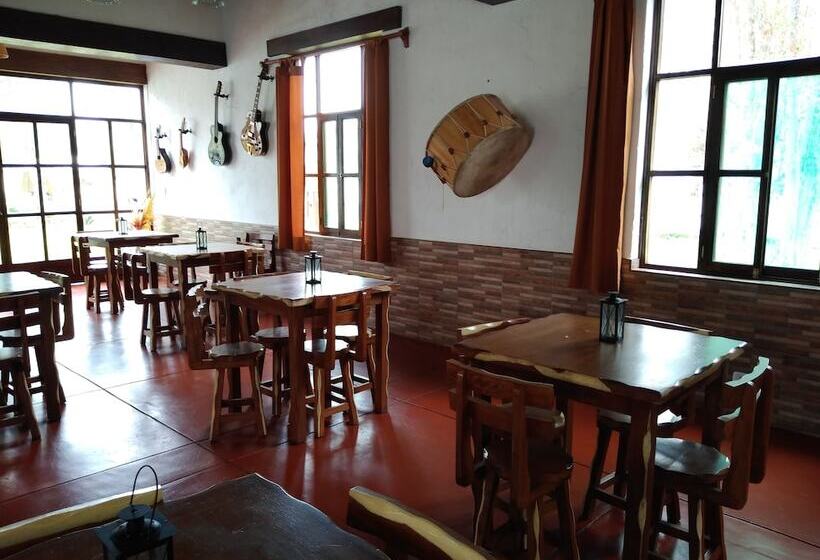 Отель Casa Hacienda Nasca Oasis