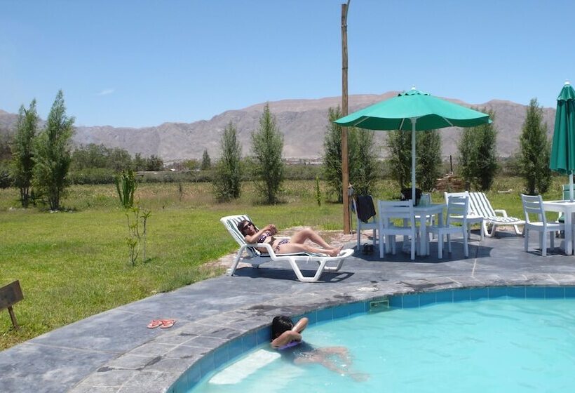 Отель Casa Hacienda Nasca Oasis
