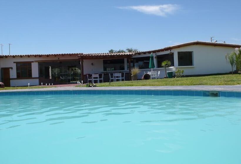 Отель Casa Hacienda Nasca Oasis