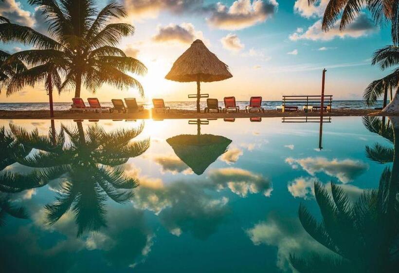 ホテル Hopkins Bay Belize a Muy'Ono Resort