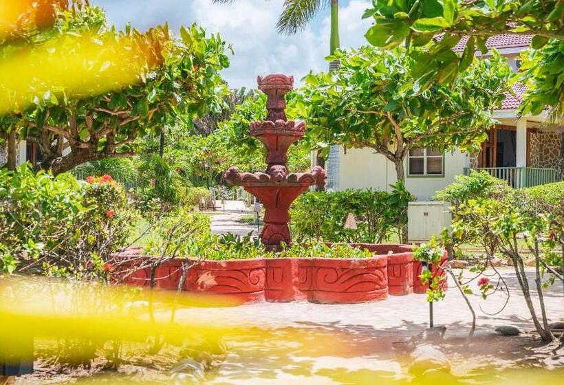 ホテル Hopkins Bay Belize a Muy'Ono Resort