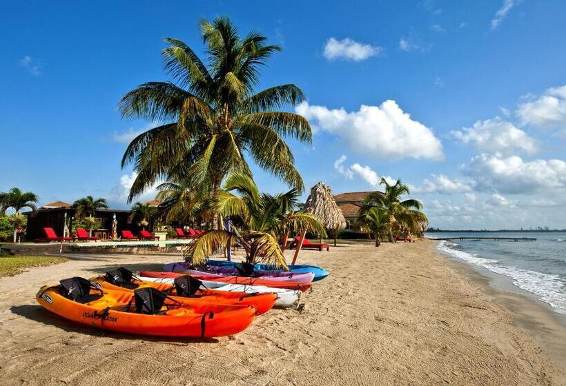 ホテル Hopkins Bay Belize a Muy'Ono Resort