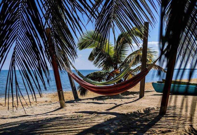 ホテル Hopkins Bay Belize a Muy'Ono Resort