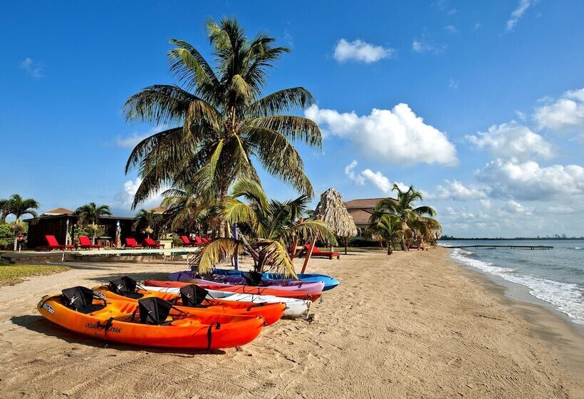 ホテル Hopkins Bay Belize a Muy'Ono Resort