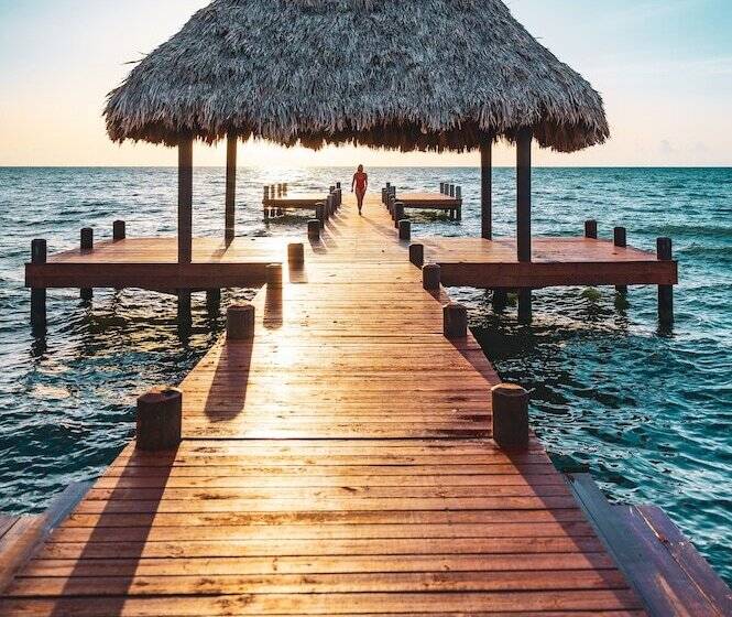ホテル Hopkins Bay Belize a Muy'Ono Resort
