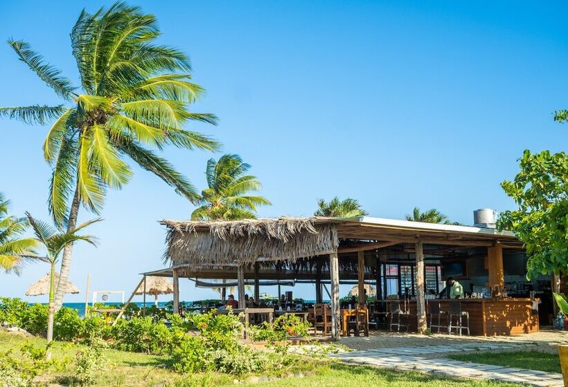ホテル Hopkins Bay Belize a Muy'Ono Resort