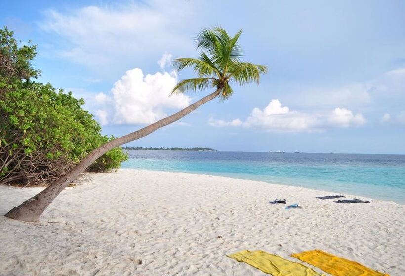 پانسیون Summer Villa Guest House