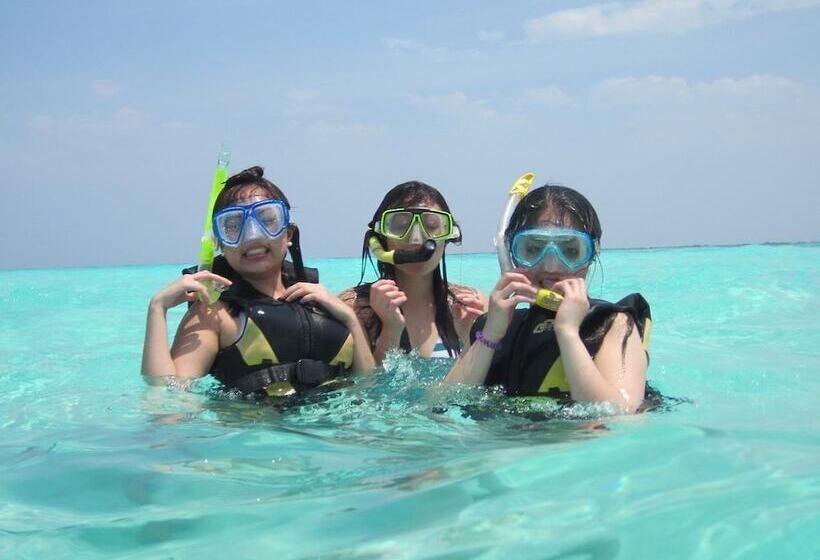 پانسیون Aa Inn