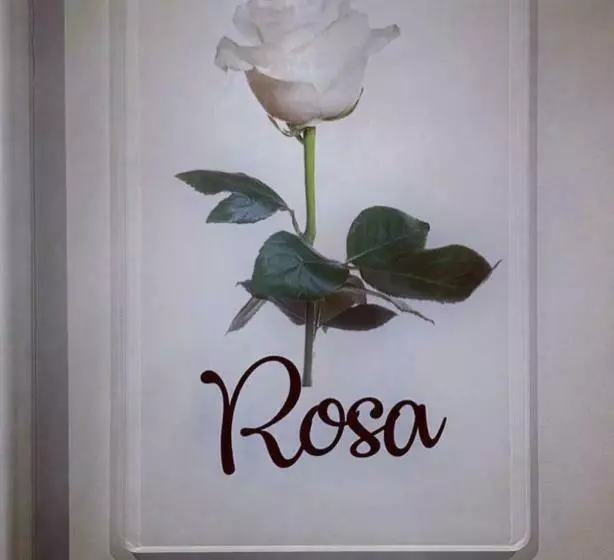 B&b M’ama Non M’ama