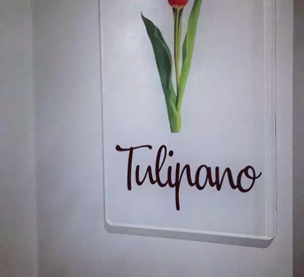 B&b M’ama Non M’ama