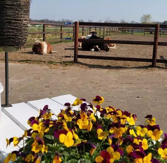 Bed & Breakfast Achter Ons Huis