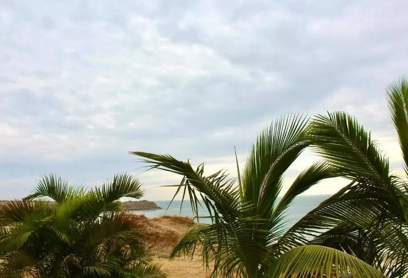 ホテル Marina Bungalows