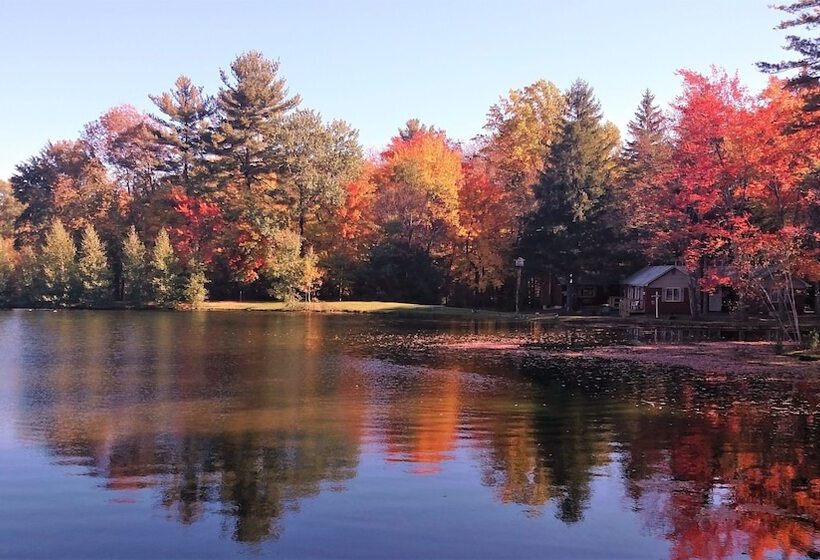 ホテル Memorytown Usa