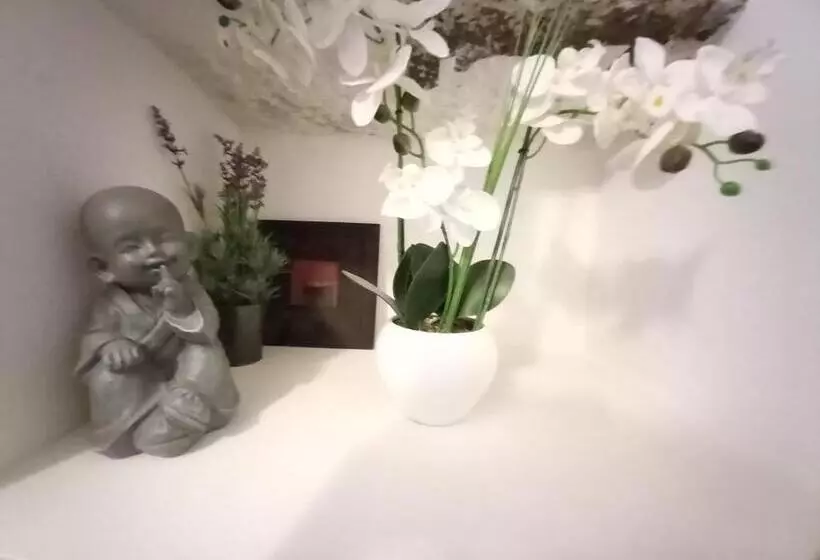 ベッドアンドブレックファースト Maison D Hote  Chez Marie  Sur Paimpont