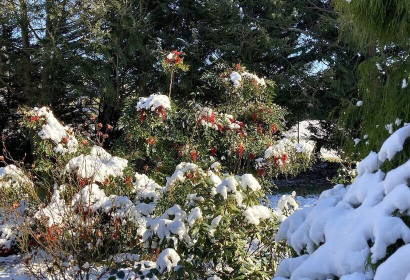 ベッドアンドブレックファースト Purcellville Home