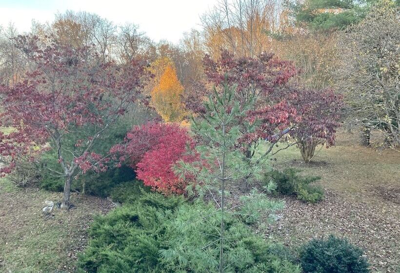 ベッドアンドブレックファースト Purcellville Home