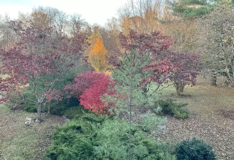 Aamiaismajoitus (B&B) Purcellville Home