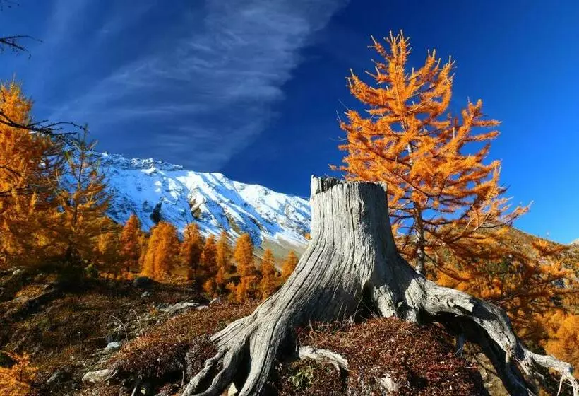 Aamiaismajoitus (B&B) Alpina Hotel Apartments