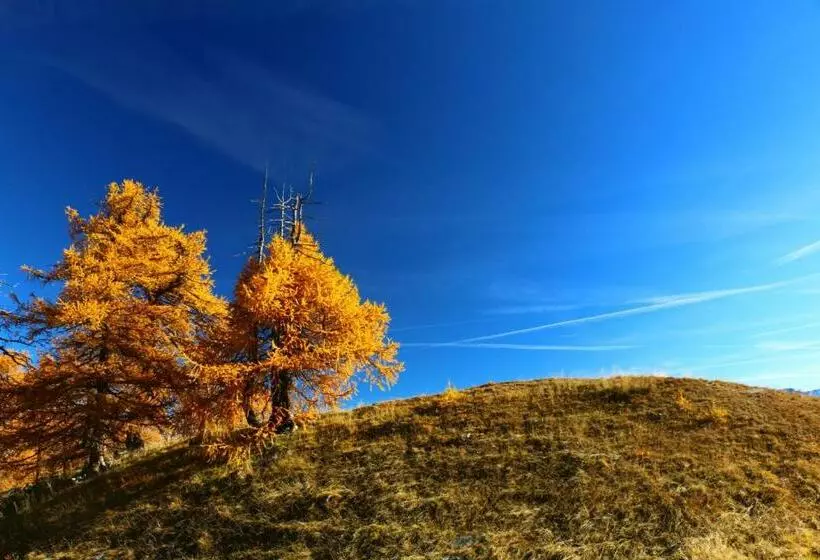 Aamiaismajoitus (B&B) Alpina Hotel Apartments