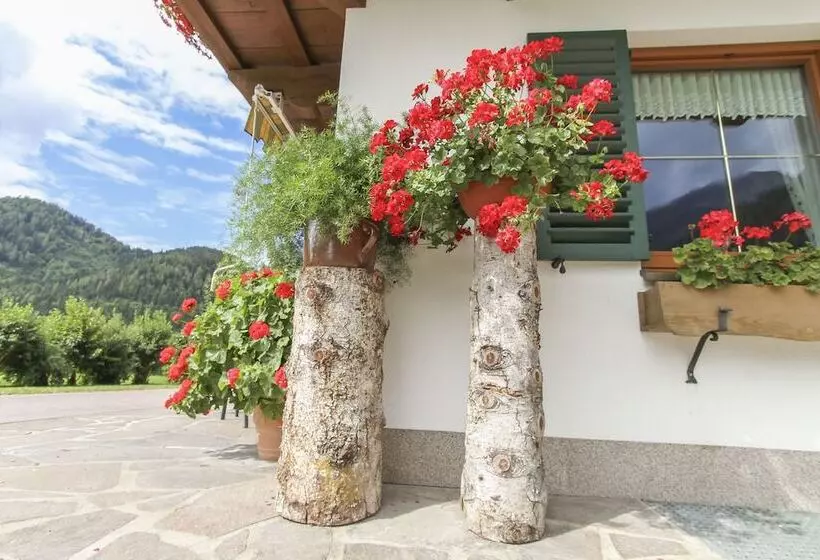 ベッドアンドブレックファースト Schneiderbauer