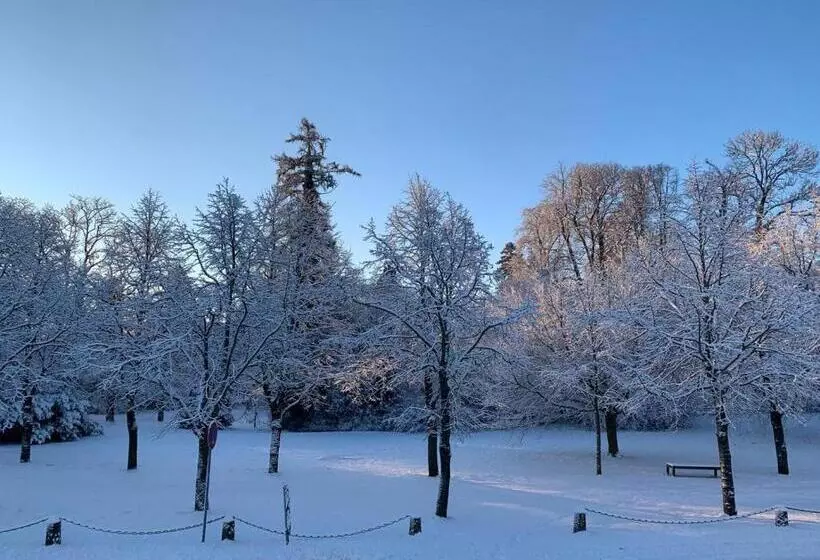 ホテル Am Schlosspark Superior   Adults Only