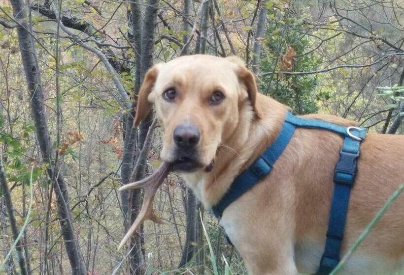 مبيت وإفطار La Corte Di Nonna Quercia