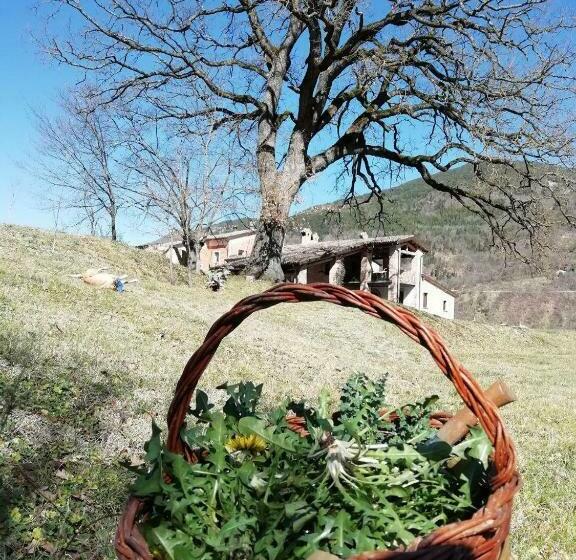 مبيت وإفطار La Corte Di Nonna Quercia