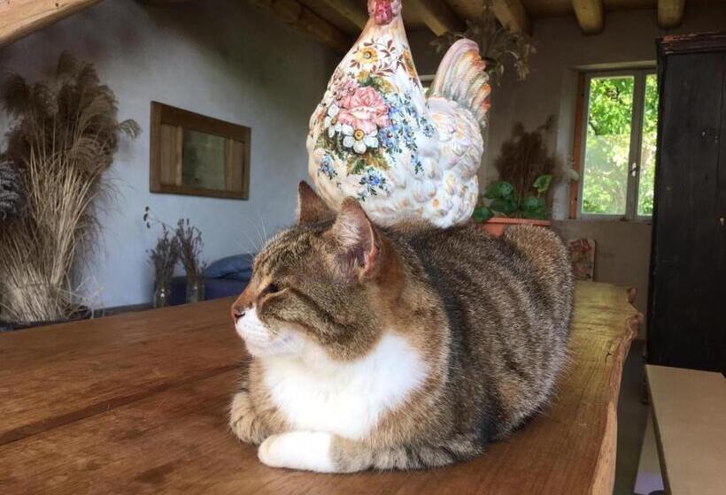 فندق Agriturismo Fattoria Togonegro