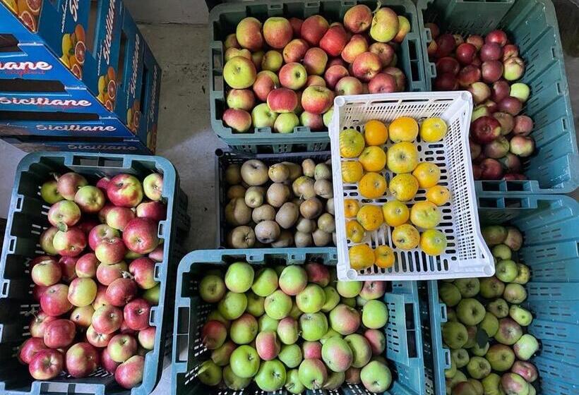 فندق Agriturismo Fattoria Togonegro