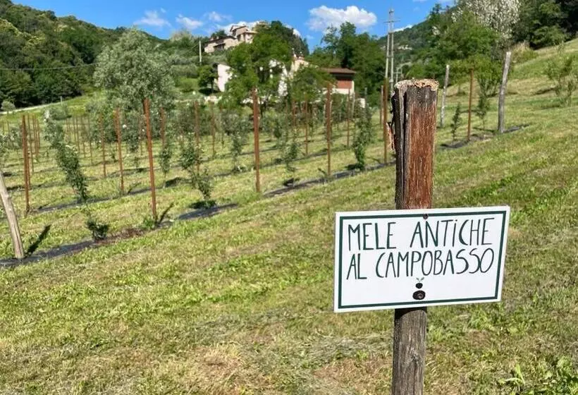 هتل Agriturismo Fattoria Togonegro
