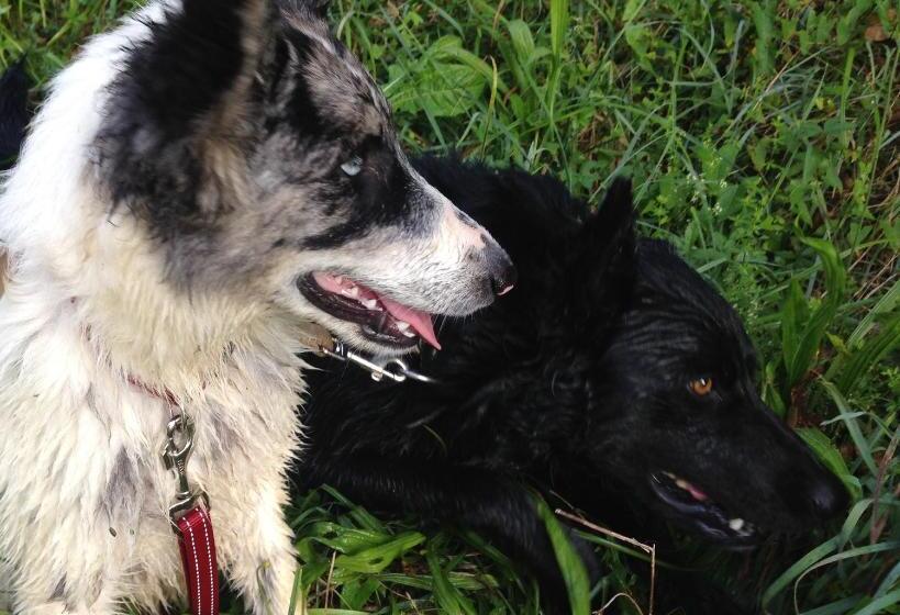 فندق Agriturismo Fattoria Togonegro