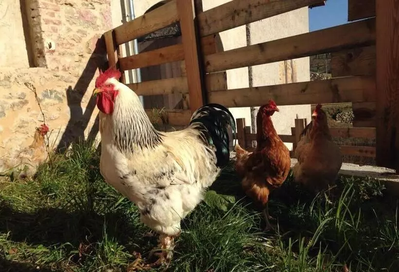 هتل Agriturismo Fattoria Togonegro