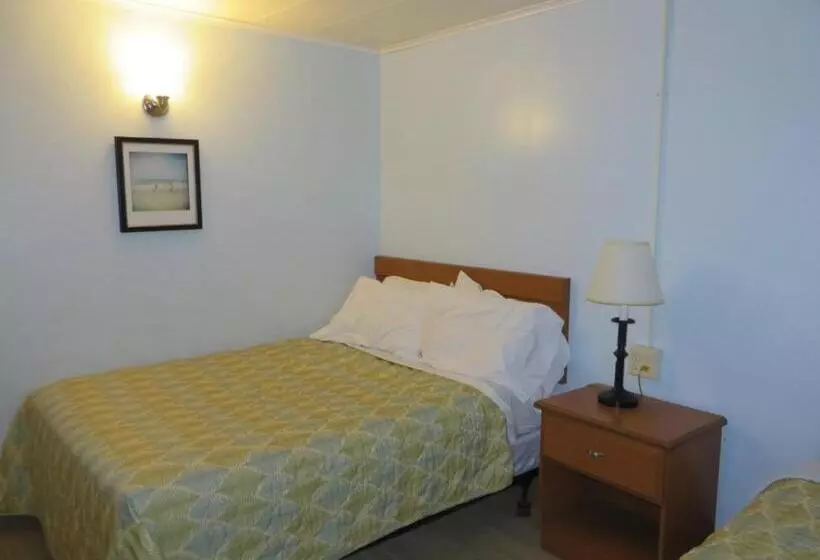 ホテル Elmwood Motor Court