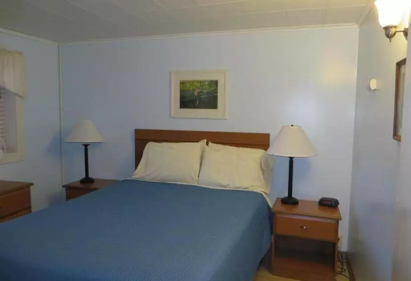 ホテル Elmwood Motor Court