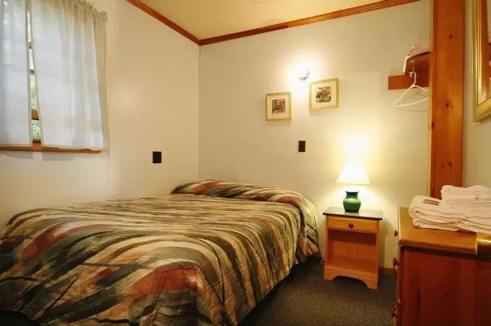 ホテル Elmwood Motor Court