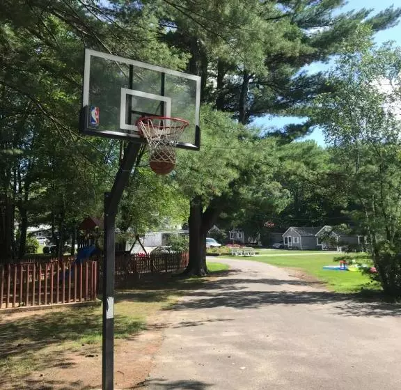 ホテル Elmwood Motor Court