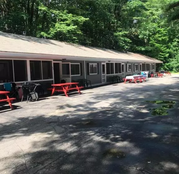 ホテル Elmwood Motor Court