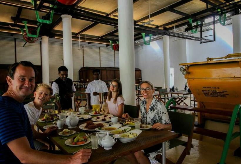 Lost & Found Hostels Mandaramnuwara