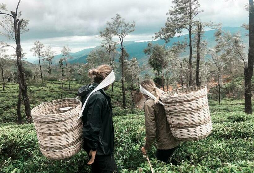 Lost & Found Hostels Mandaramnuwara