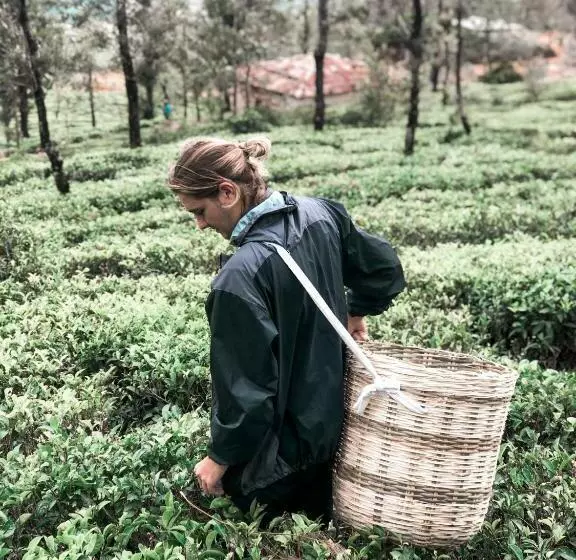 Lost & Found Hostels   Mandaramnuwara