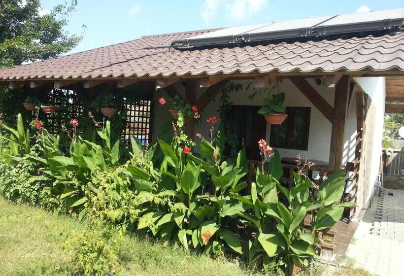 پانسیون Casa De Vacanta Spiritul Deltei