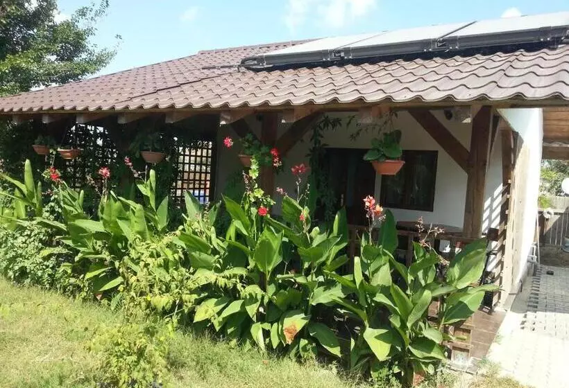 پانسیون Casa De Vacanta Spiritul Deltei