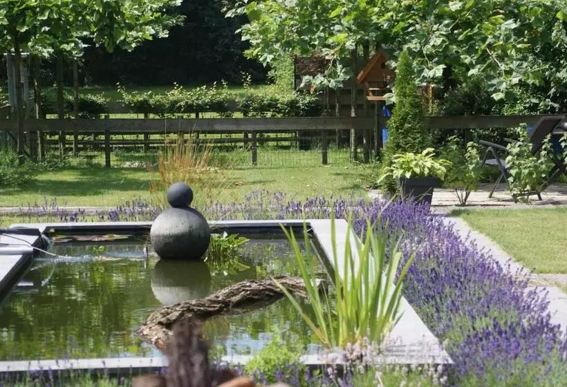 B&b Van Hunebed Naar Jullie Bed