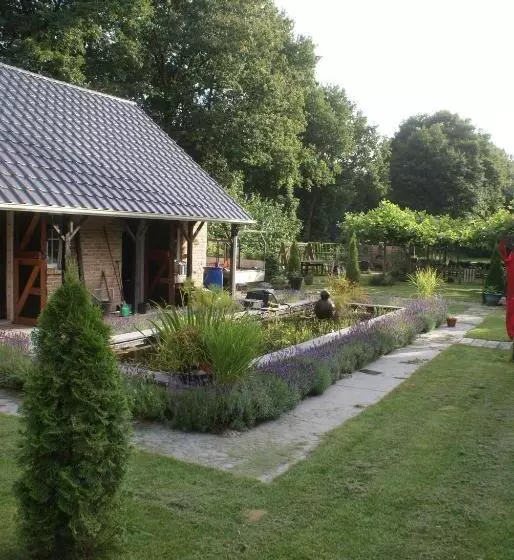 B&b Van Hunebed Naar Jullie Bed