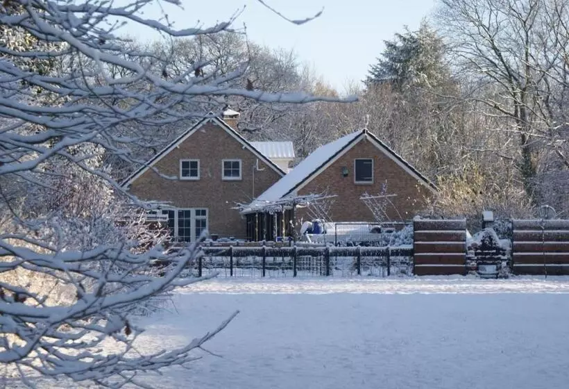 B&b Van Hunebed Naar Jullie Bed