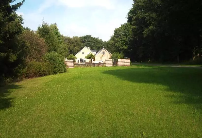 B&b Van Hunebed Naar Jullie Bed