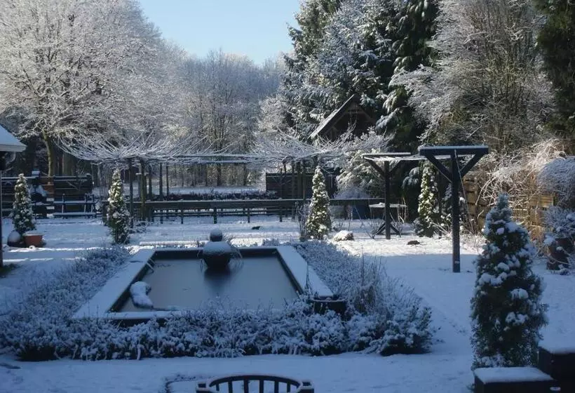 B&b Van Hunebed Naar Jullie Bed