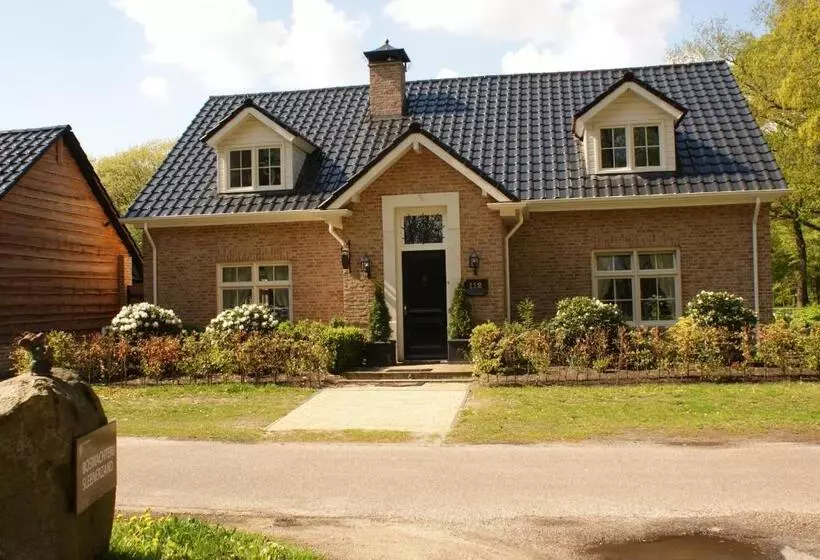 B&b Van Hunebed Naar Jullie Bed